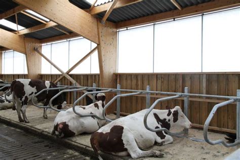 fournisseurs vaches haute marne